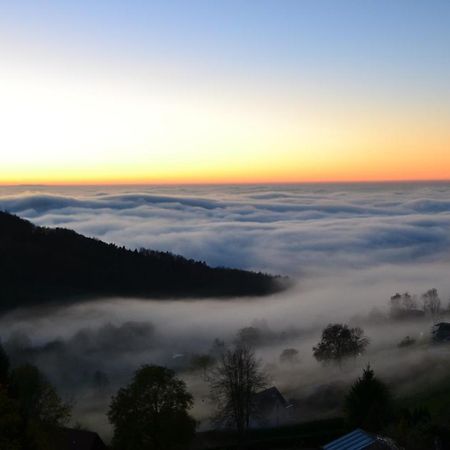 ザスバッハヴァルデンBergweide 36アパートメント エクステリア 写真