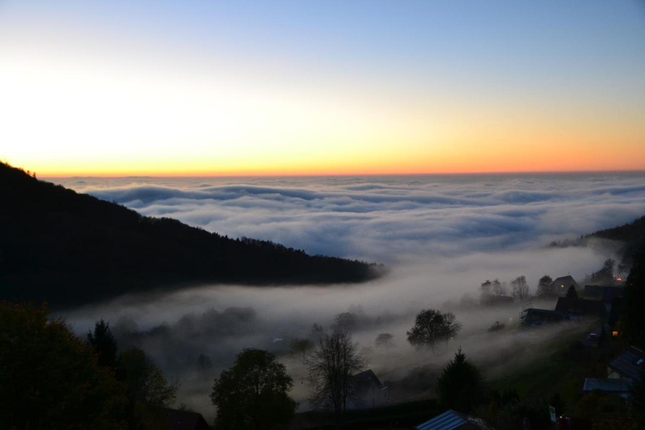 ザスバッハヴァルデンBergweide 36アパートメント エクステリア 写真