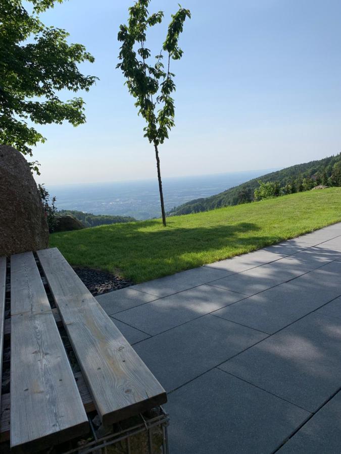 ザスバッハヴァルデンBergweide 36アパートメント エクステリア 写真